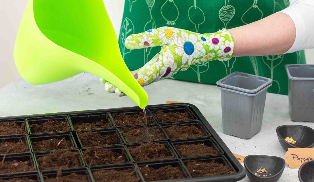 nő paprikákat ültet