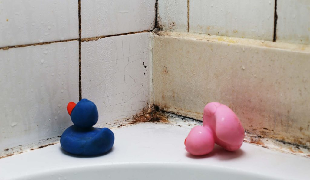 Penészes fürdőszoba és gumikacsák