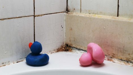 Penészes fürdőszoba és gumikacsák