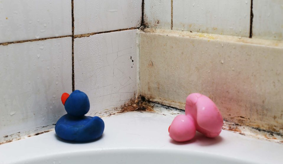 Penészes fürdőszoba és gumikacsák