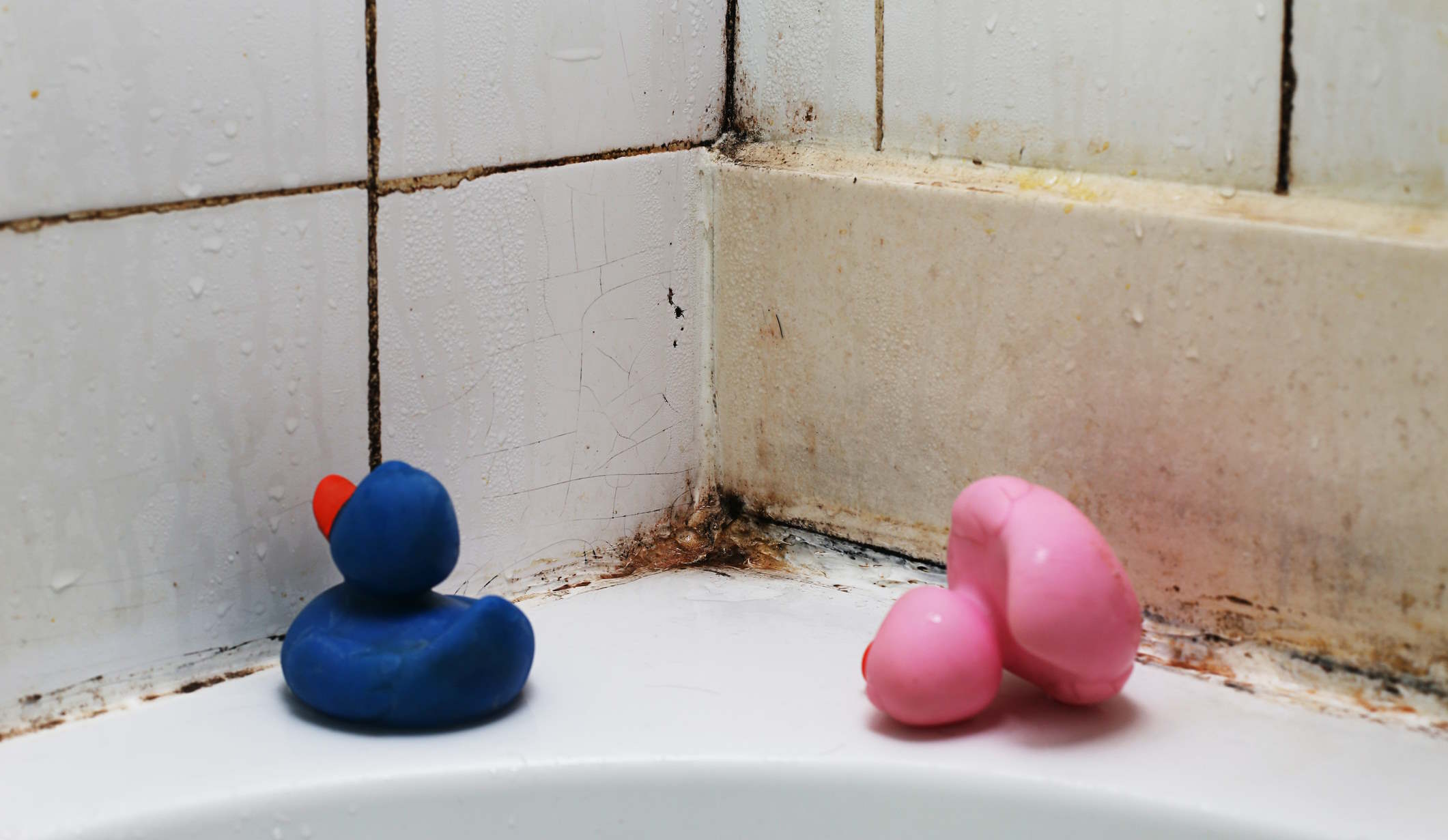 Penészes fürdőszoba és gumikacsák