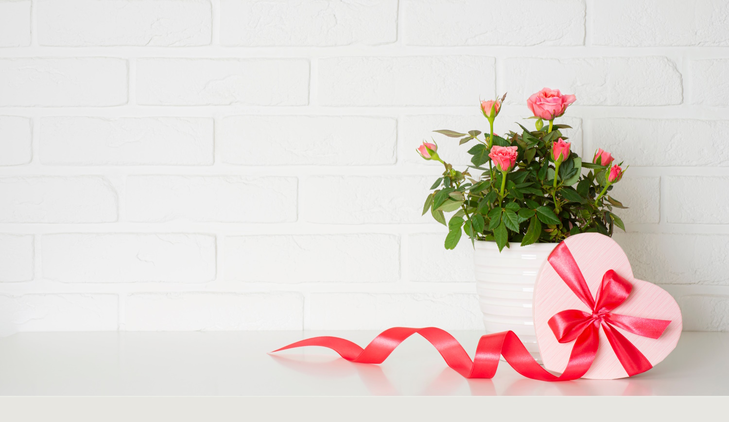 szobarózsa valentin napra