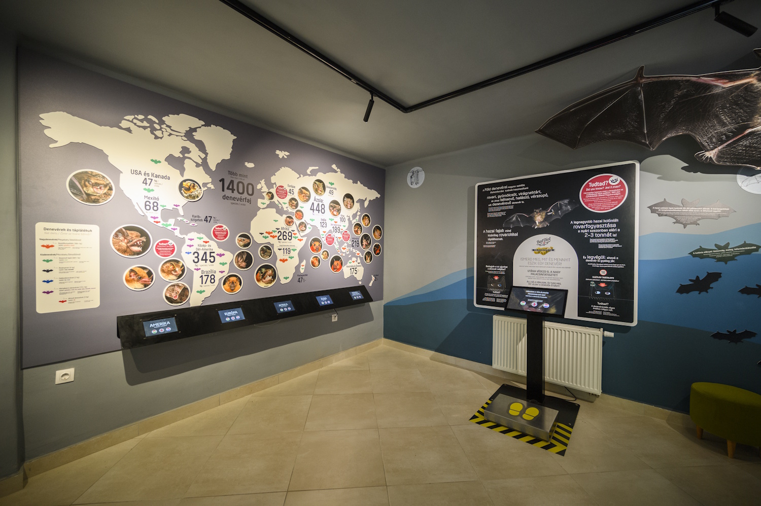 Abaligeti barlang Denevérmúzeum