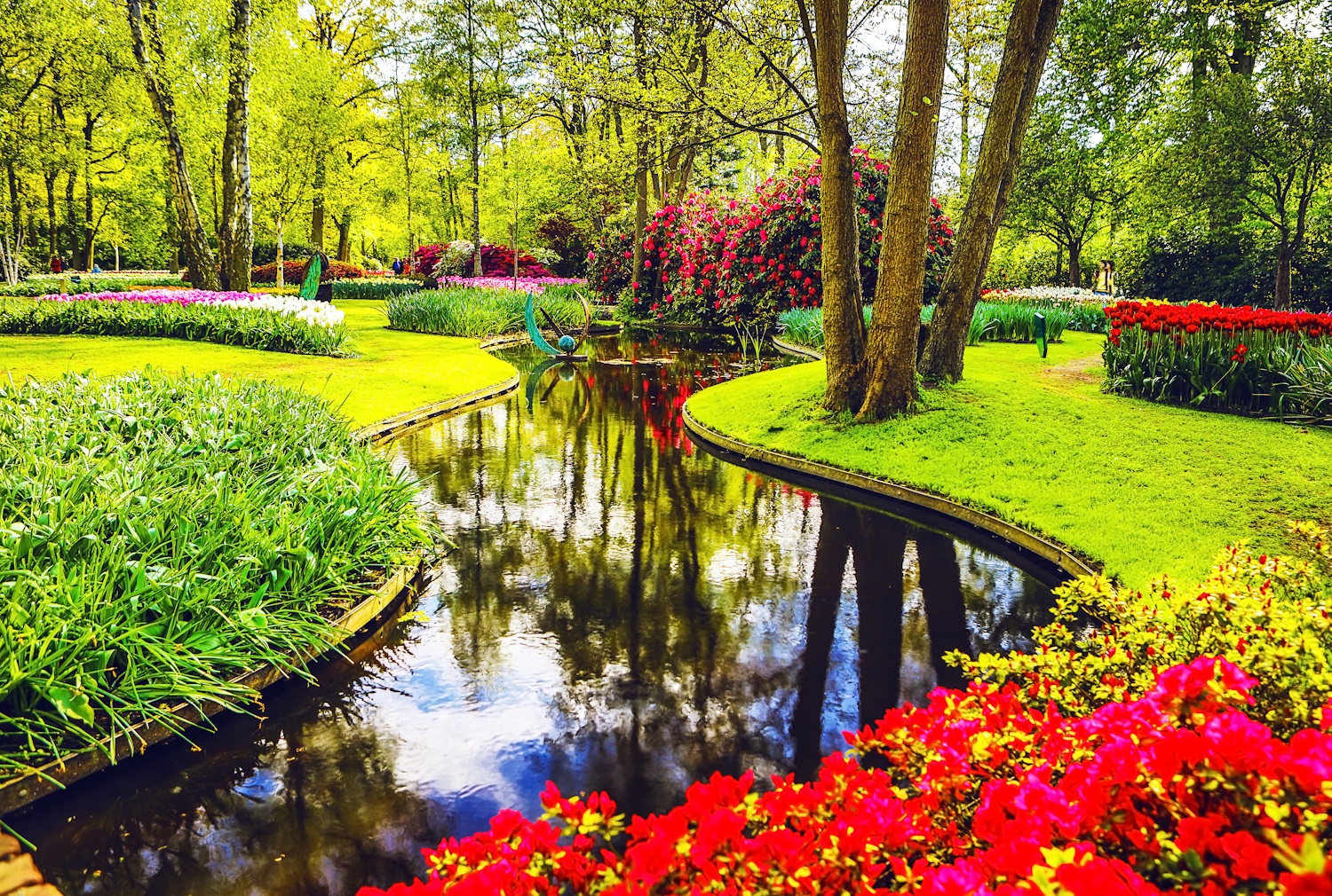 Keukenhof park tulipánkert lisse hollandia