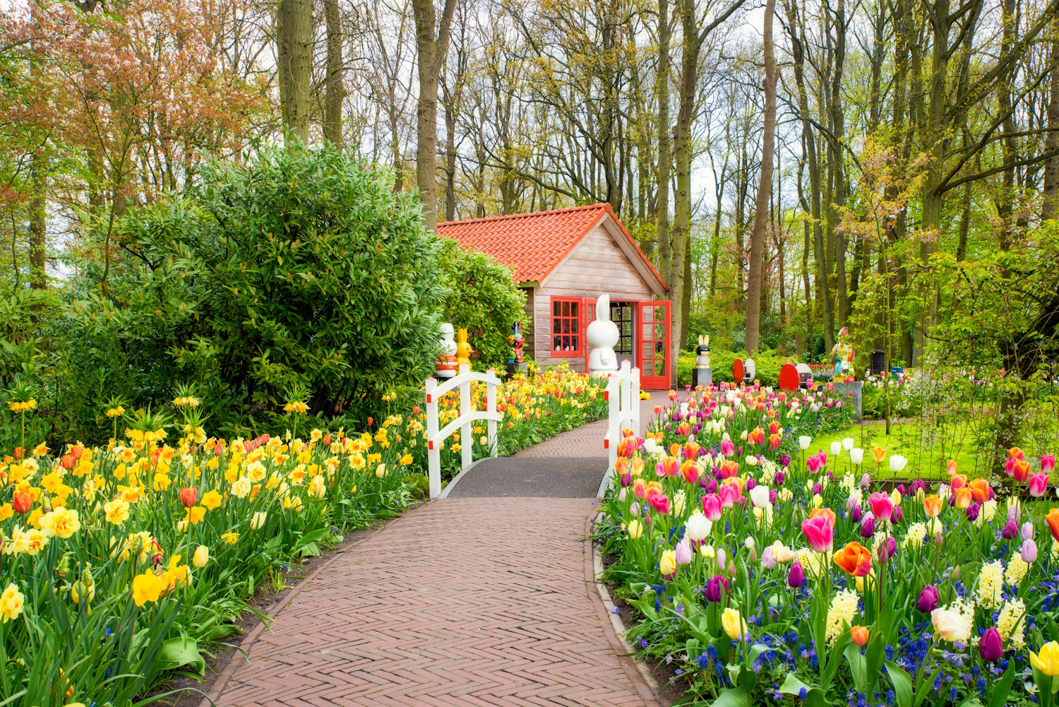 Keukenhof park tulipánkert lisse hollandia