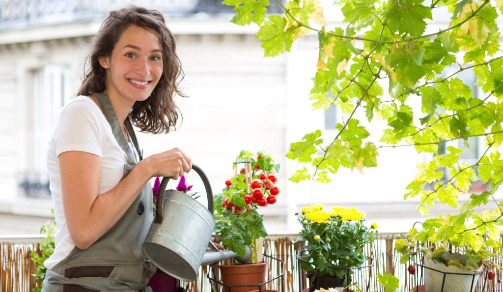 Nő öntözi a paradicsomot