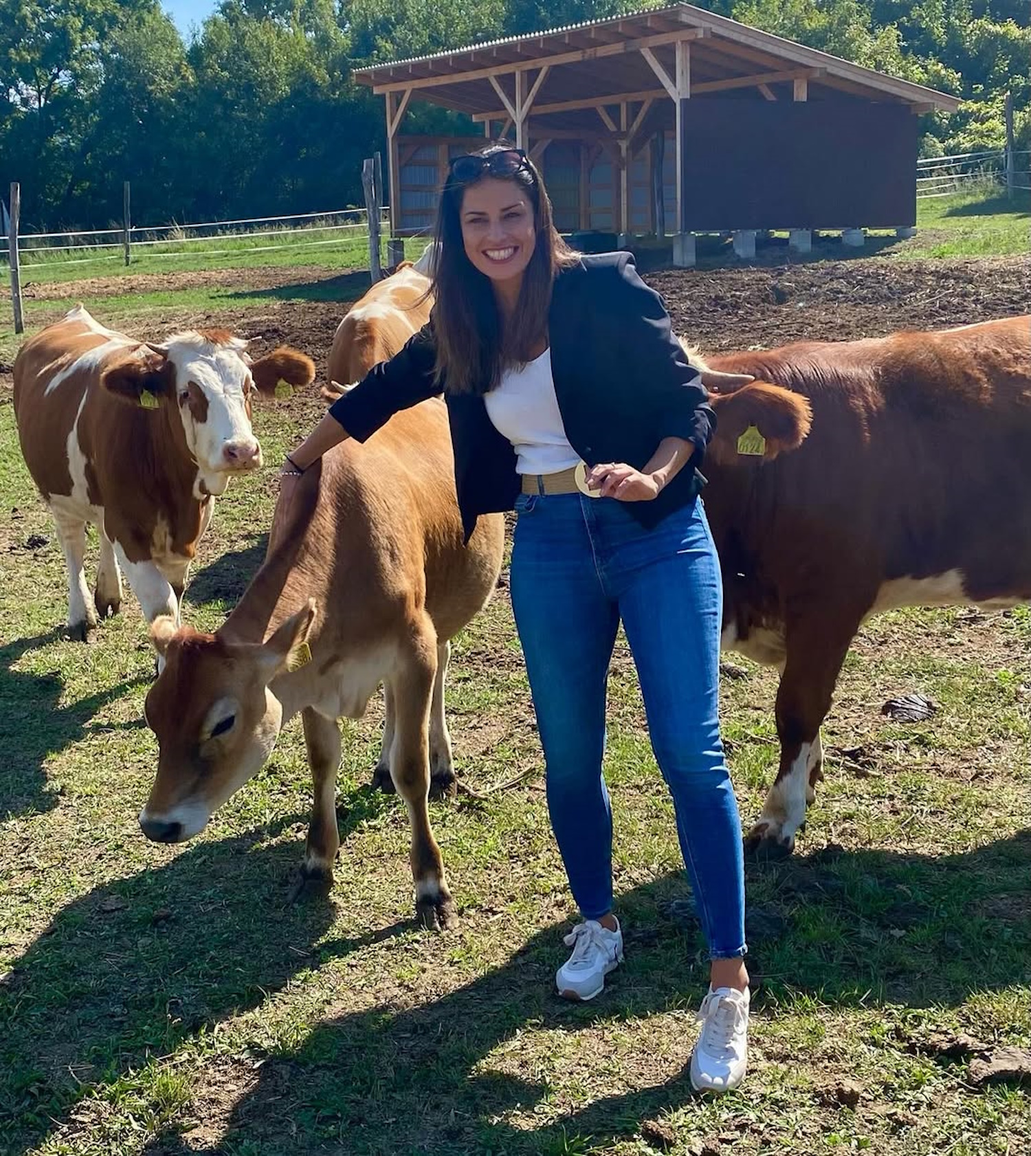 czippán anett a tények riportere