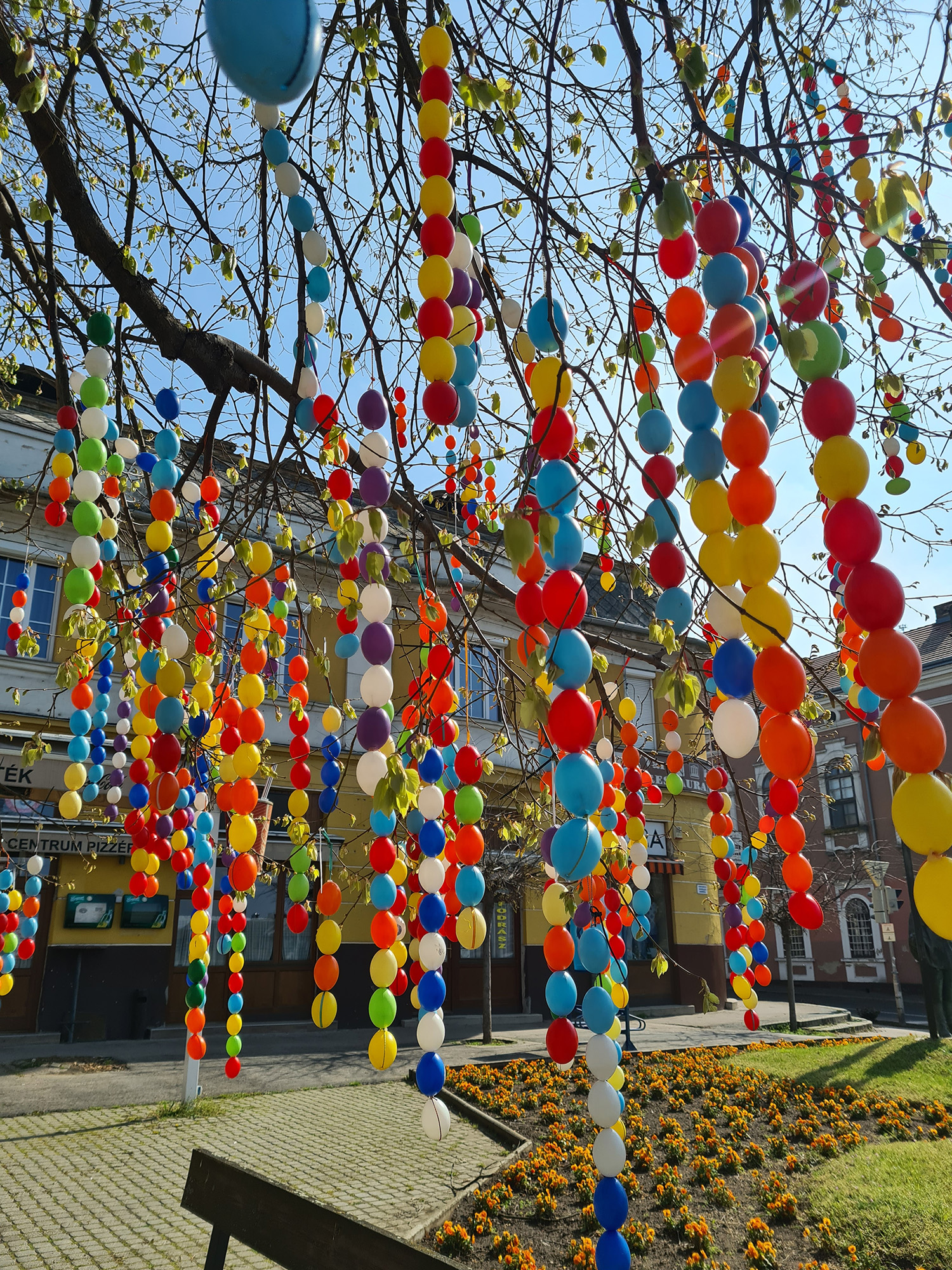 Tojásfa Dunaföldváron