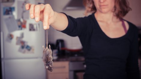 nő egeret fog a farkánál fogva