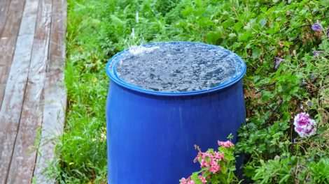 Esővíz gyűjtő hordó