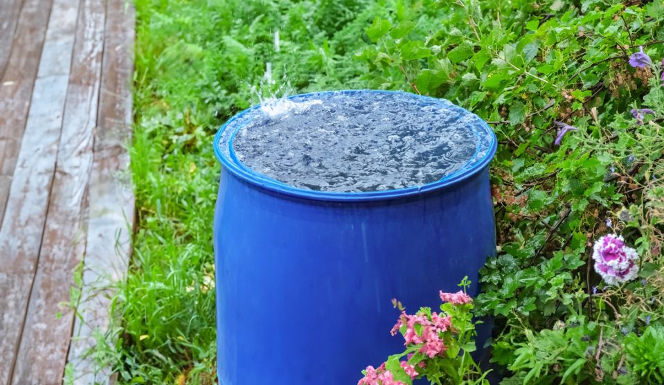 Esővíz gyűjtő hordó