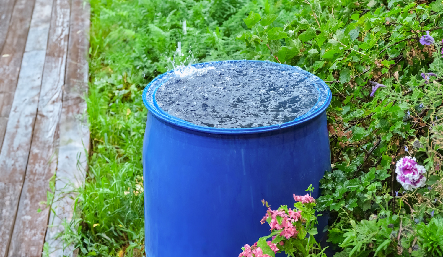 Esővíz gyűjtő hordó