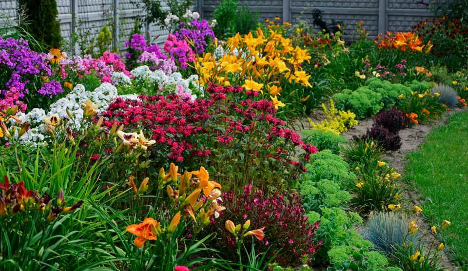 Minél többféle virágzó évellőt ültetsz egymás mellé, annál szebb lesz a kerted