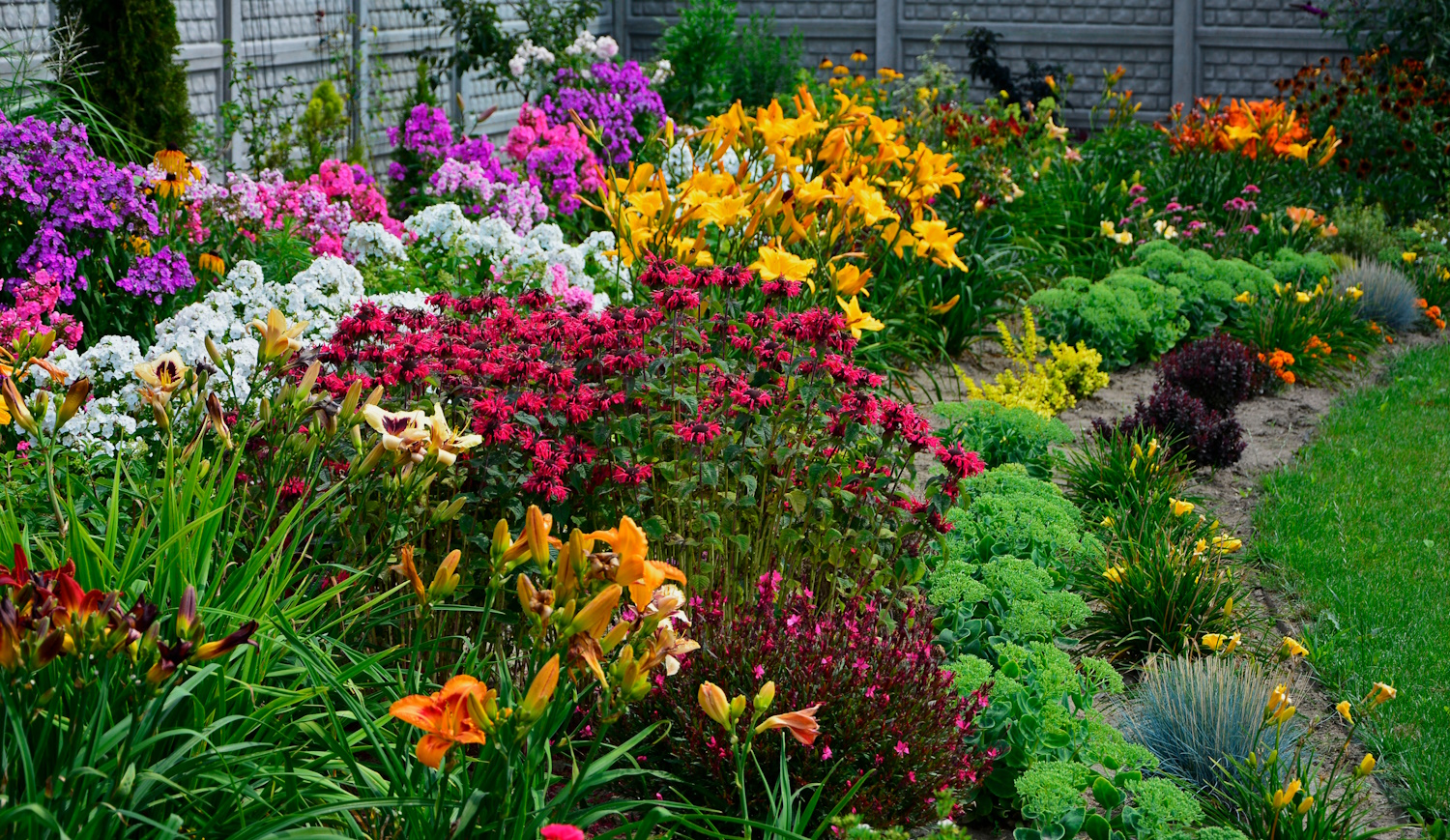 Minél többféle virágzó évellőt ültetsz egymás mellé, annál szebb lesz a kerted