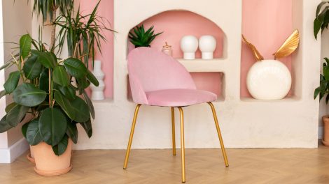 fikusz elastica egy szépen berendezett gazdag nappaliban