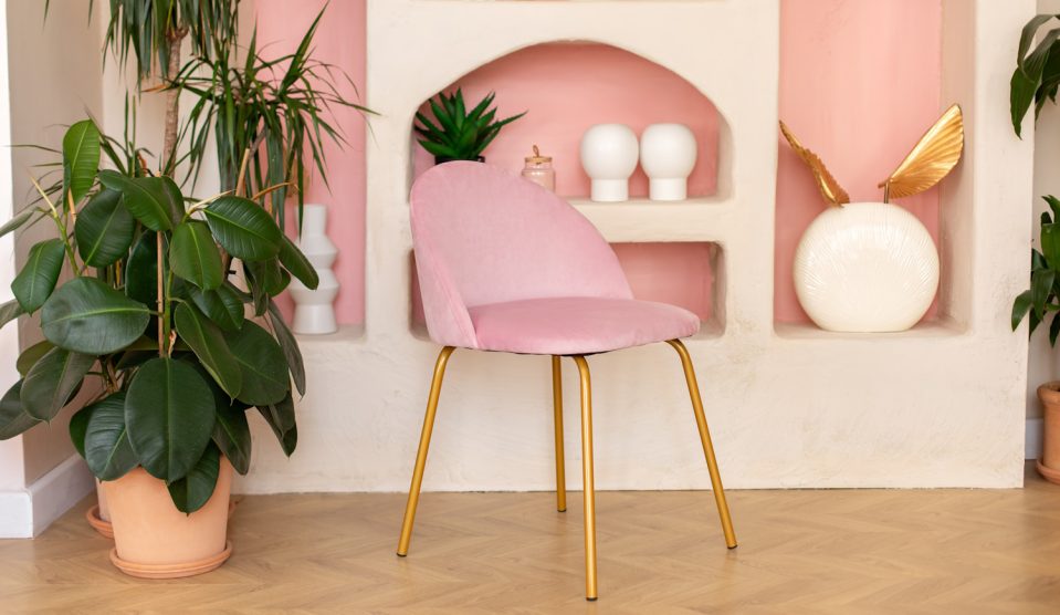 fikusz elastica egy szépen berendezett gazdag nappaliban