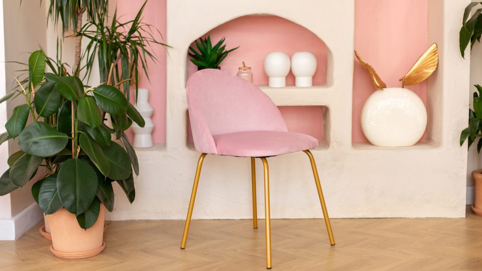 fikusz elastica egy szépen berendezett gazdag nappaliban