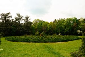 Gödöllői Arbo-park