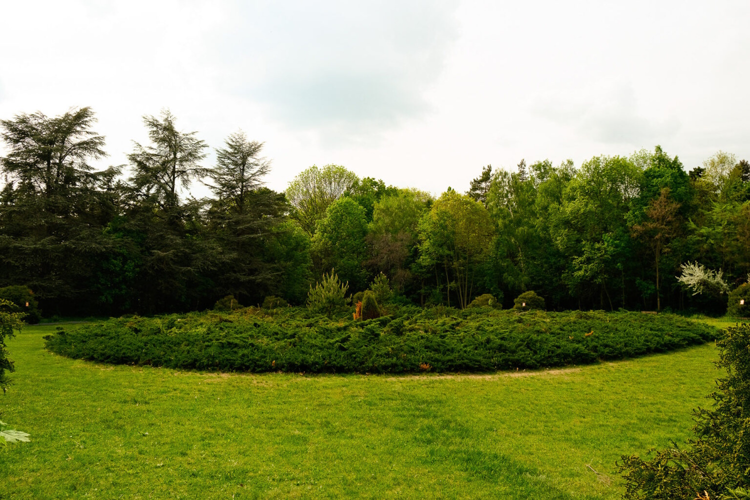 Gödöllői Arbo-park