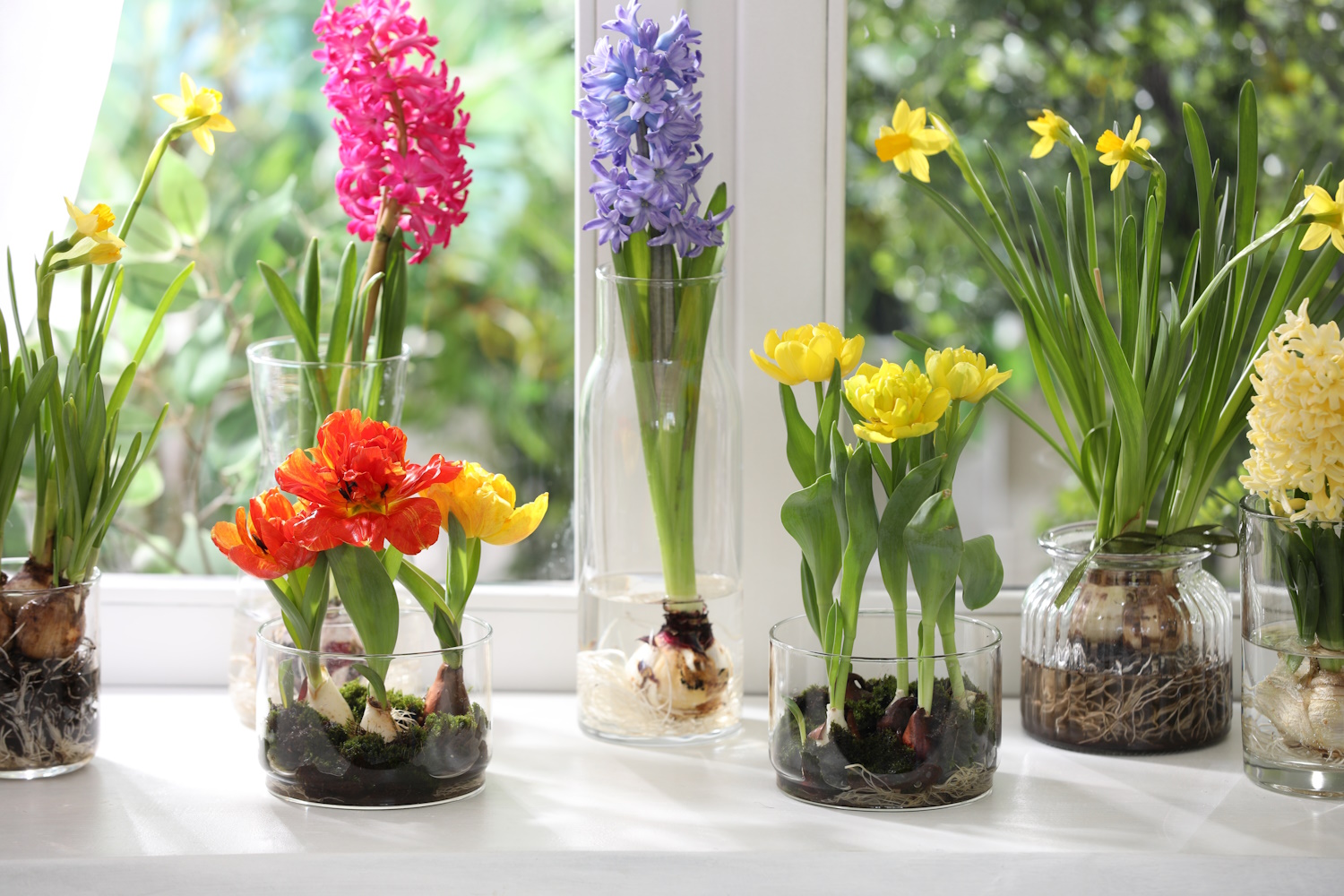 húsvéti dekoráció nárcisszal fürtös gyöngyikével tulipánnal jácinttal virágokkal barkával