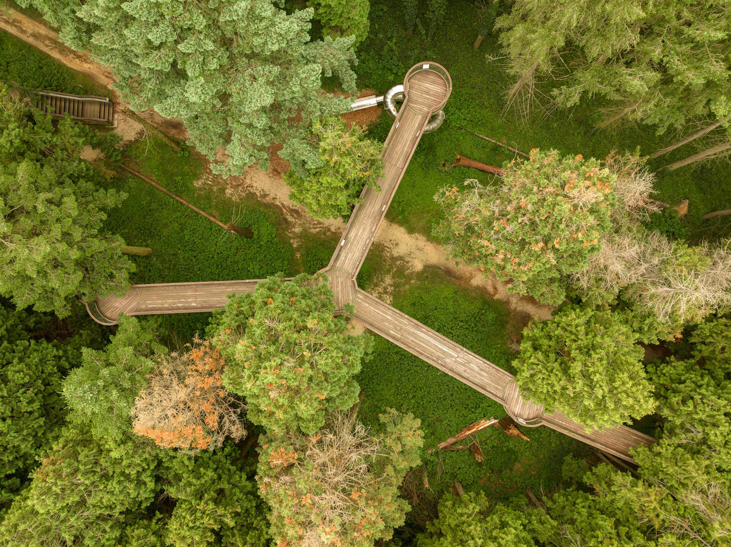 Jeli Varázskert Arborétum