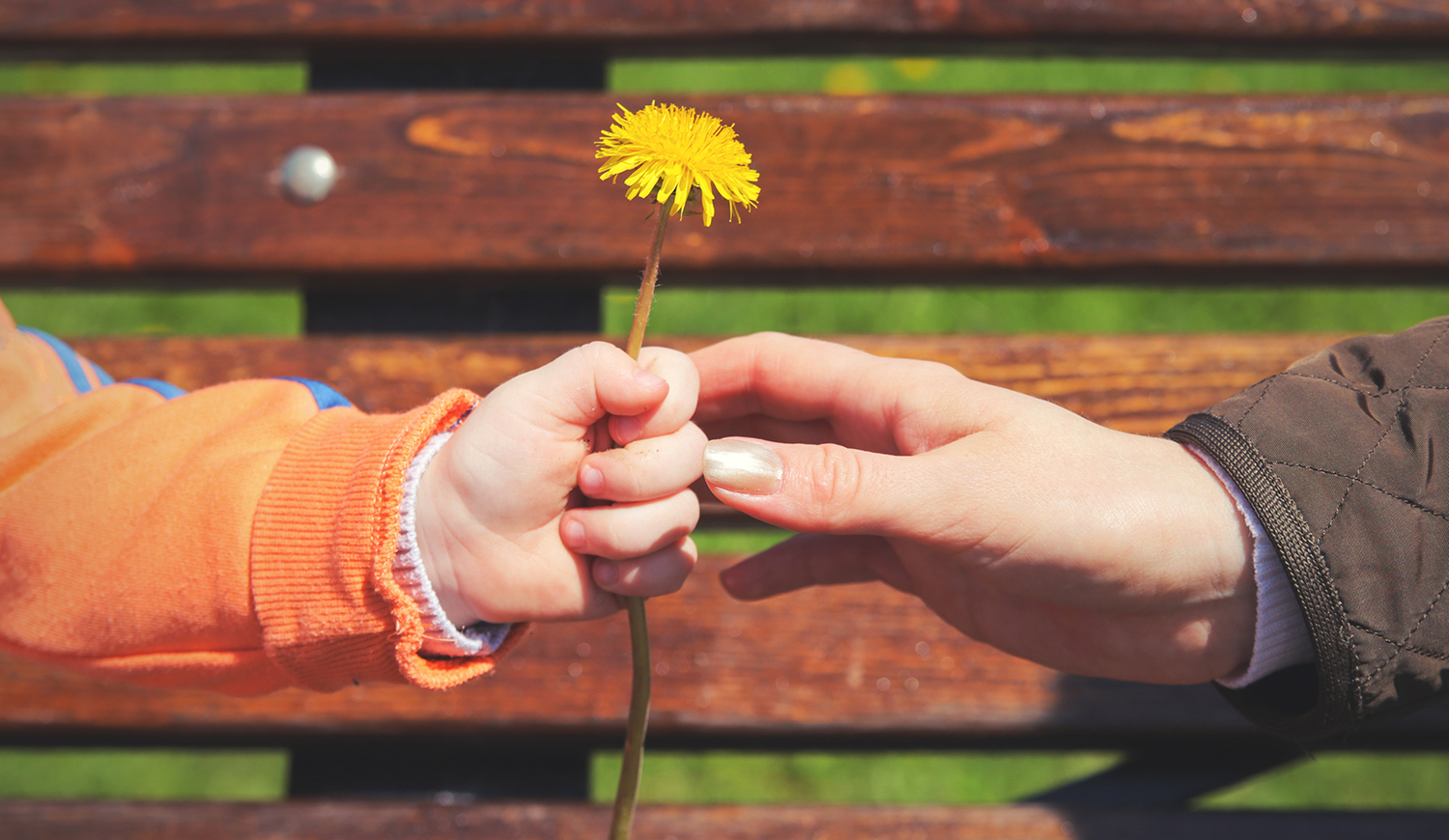 Pitypangot adó gyerek