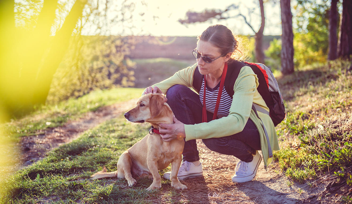Nő kullancsot szed a kutyájából az erdőben