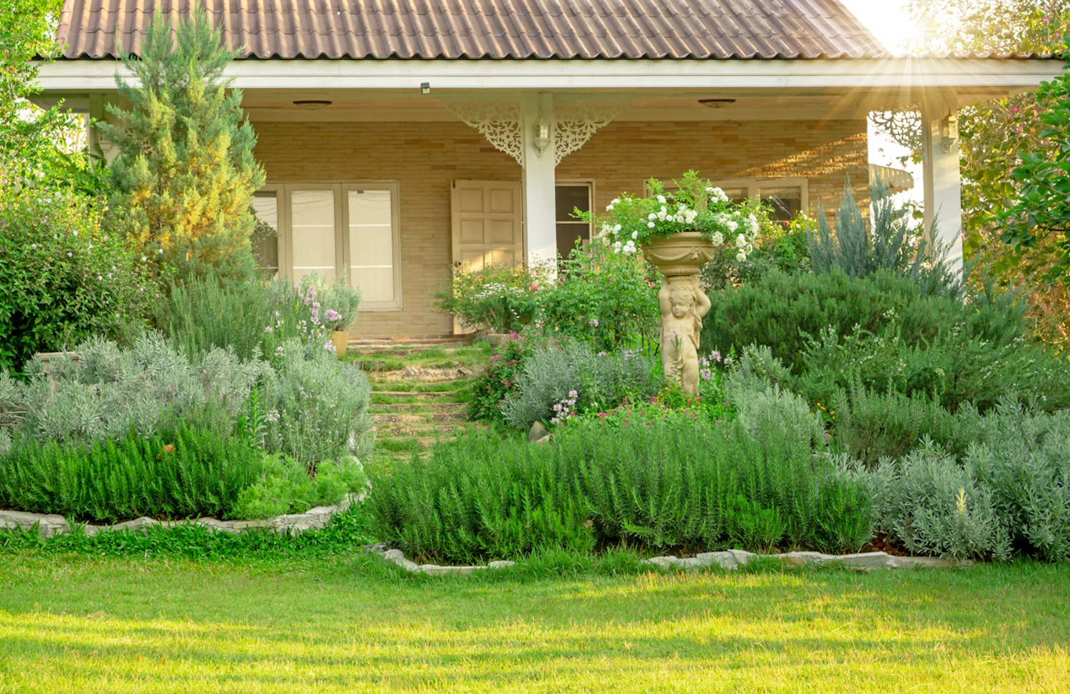 Akinek ennyi rozmaringja van a kertben, biztos nem küzd szúnyogokkal