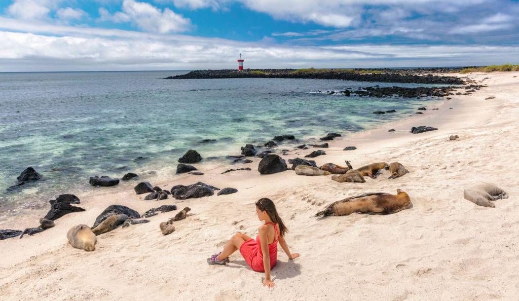 Oroszlánfókák hevernek a parton