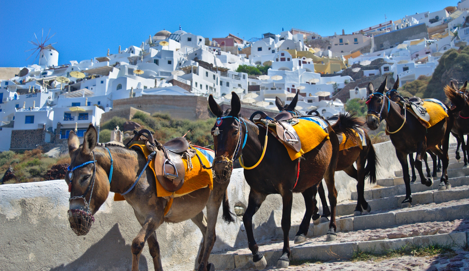 santorinin szamarak a hegyen