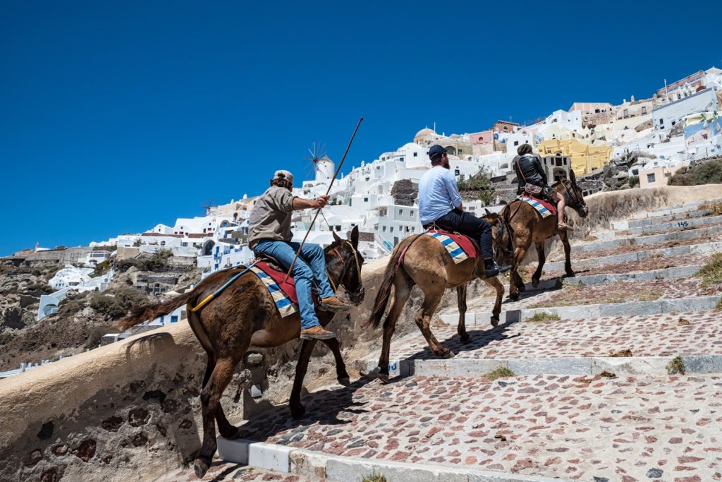 santorinin szamarak a hegyen