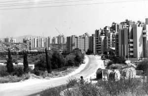 split 1974-ben