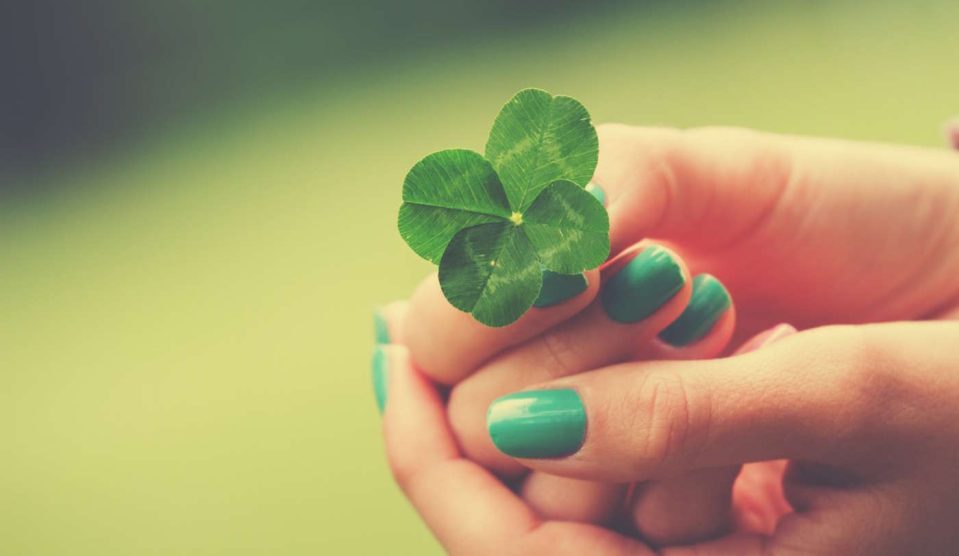 Nő négylevelű lóherét tart a kezében