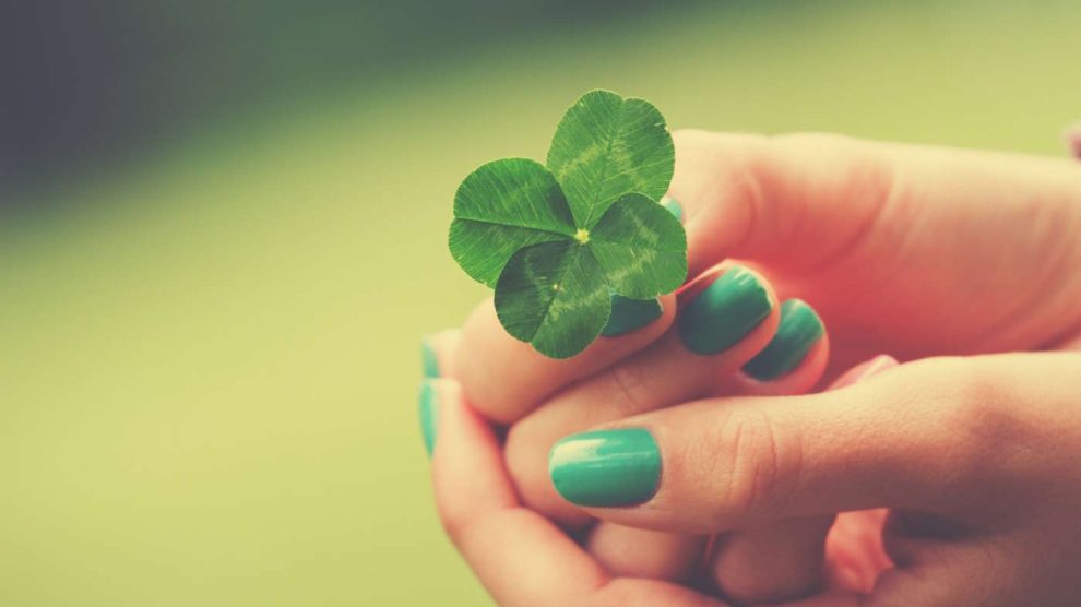 Nő négylevelű lóherét tart a kezében