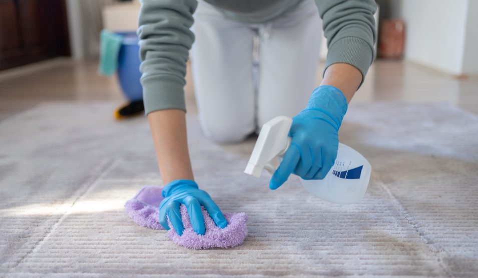 Szőnyegtisztítás