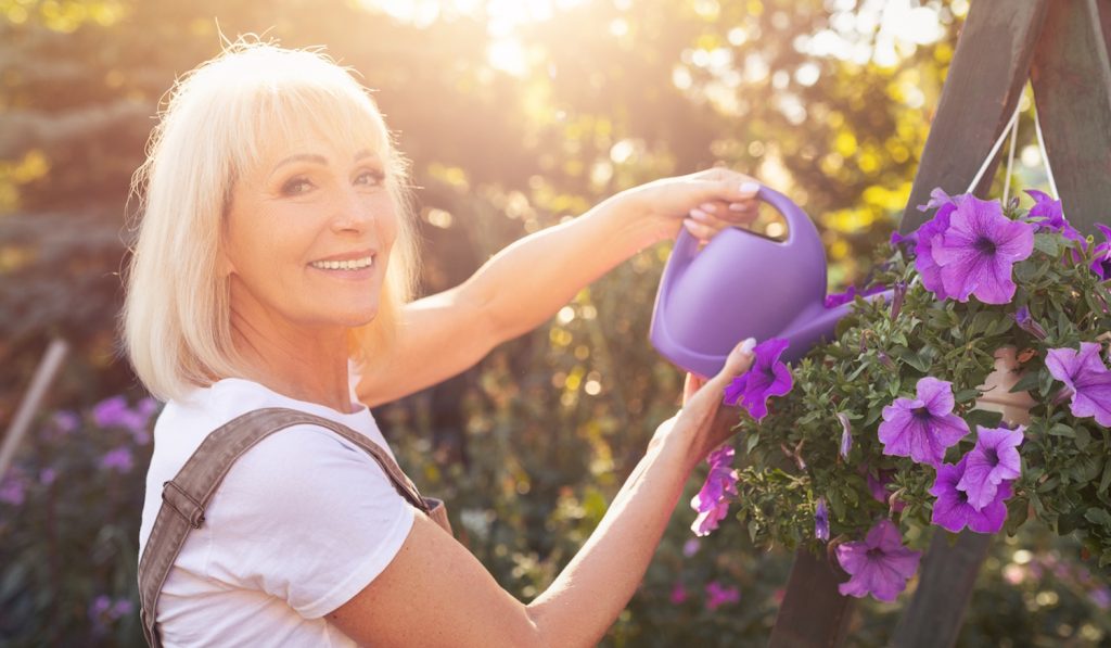 nyári naplementében petúniát locsol egy nő