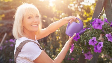 nyári naplementében petúniát locsol egy nő