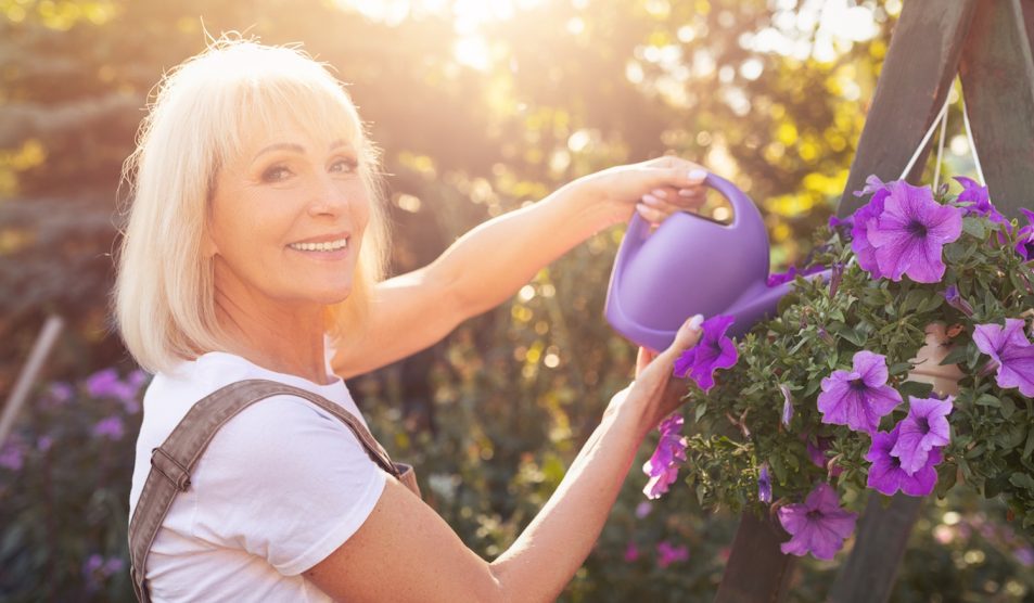 nyári naplementében petúniát locsol egy nő