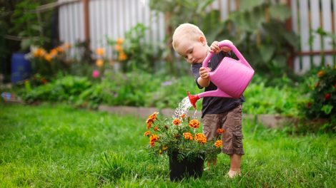tavasszal a kertben büdöskét locsol egy kisfiú cuki fotó