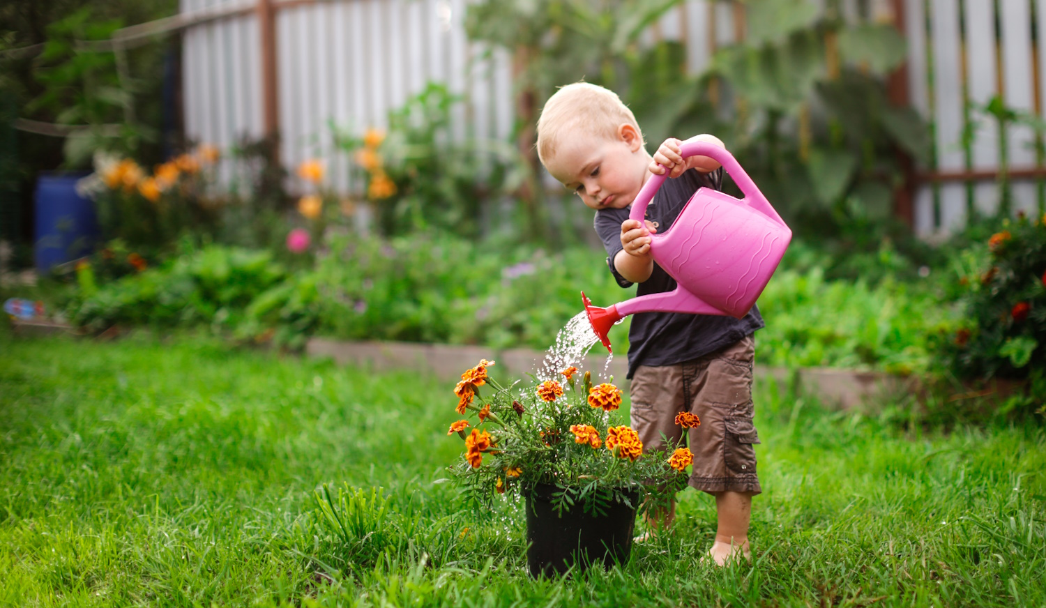tavasszal a kertben büdöskét locsol egy kisfiú cuki fotó