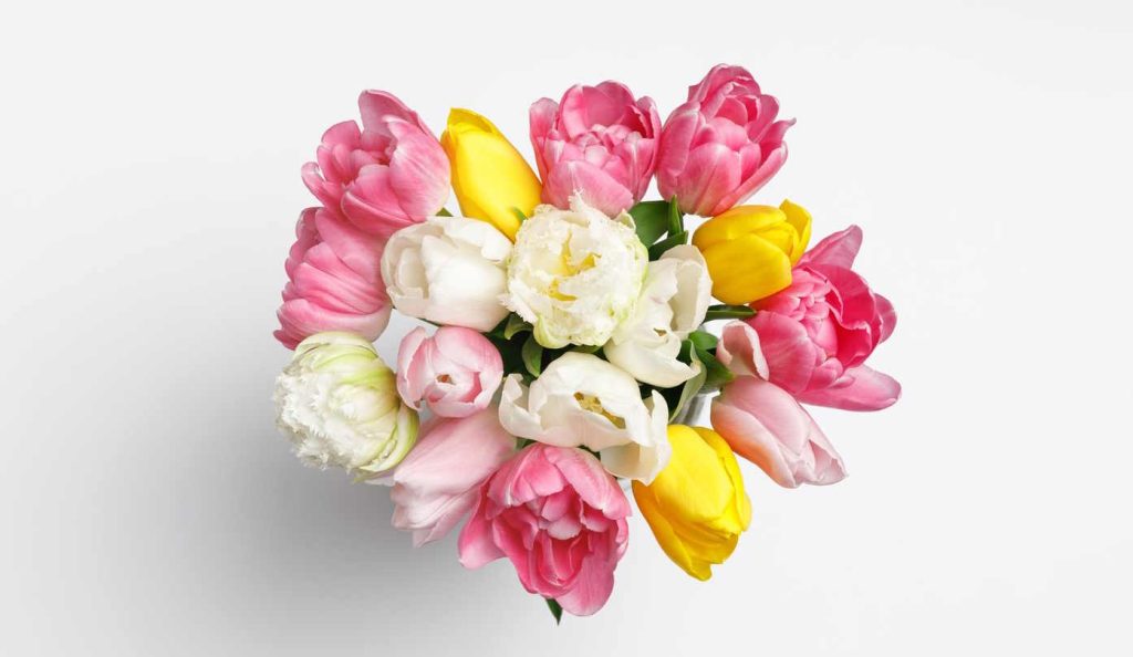 színes tulipánok vázában felülről fotózva