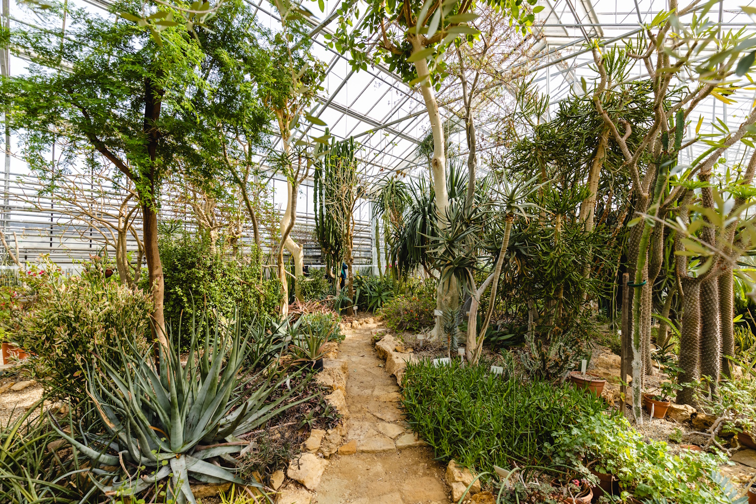 Vácrátóti Nemzeti Botanikus Kert