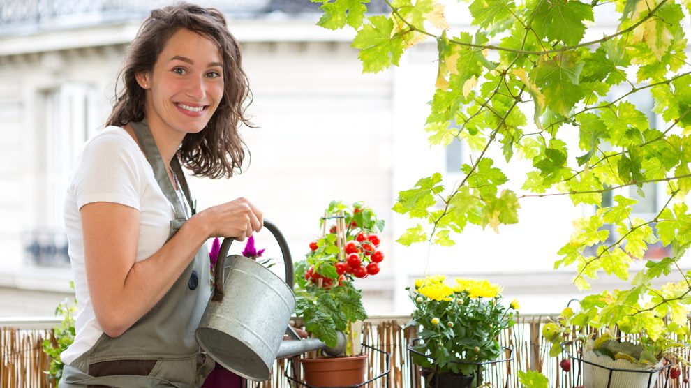 Fiatal nő paradicsomot öntöz az erkélyen