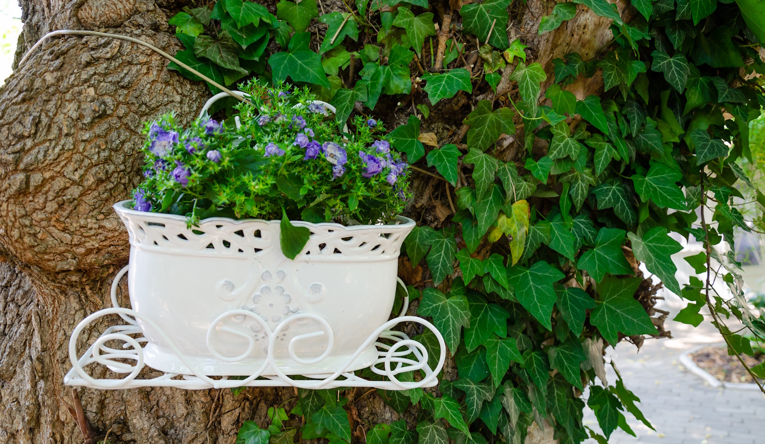 „Gyönyörű zöld borostyán kapaszkodik fel a hatalmas fa törzsén, mellette egy fehér virágcserép lila virágokkal. Hangulatos, természetes háttér