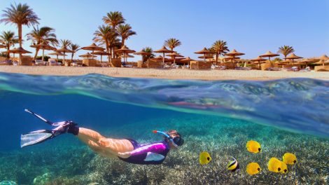 egyiptom vörös tengerben búvárkodó nő