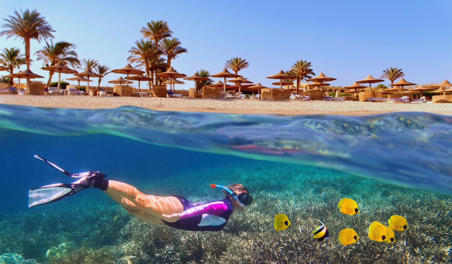 egyiptom vörös tengerben búvárkodó nő
