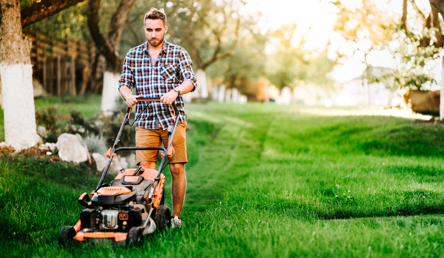 férfi füvet nyír a kertben hagyományos fűnyíróval