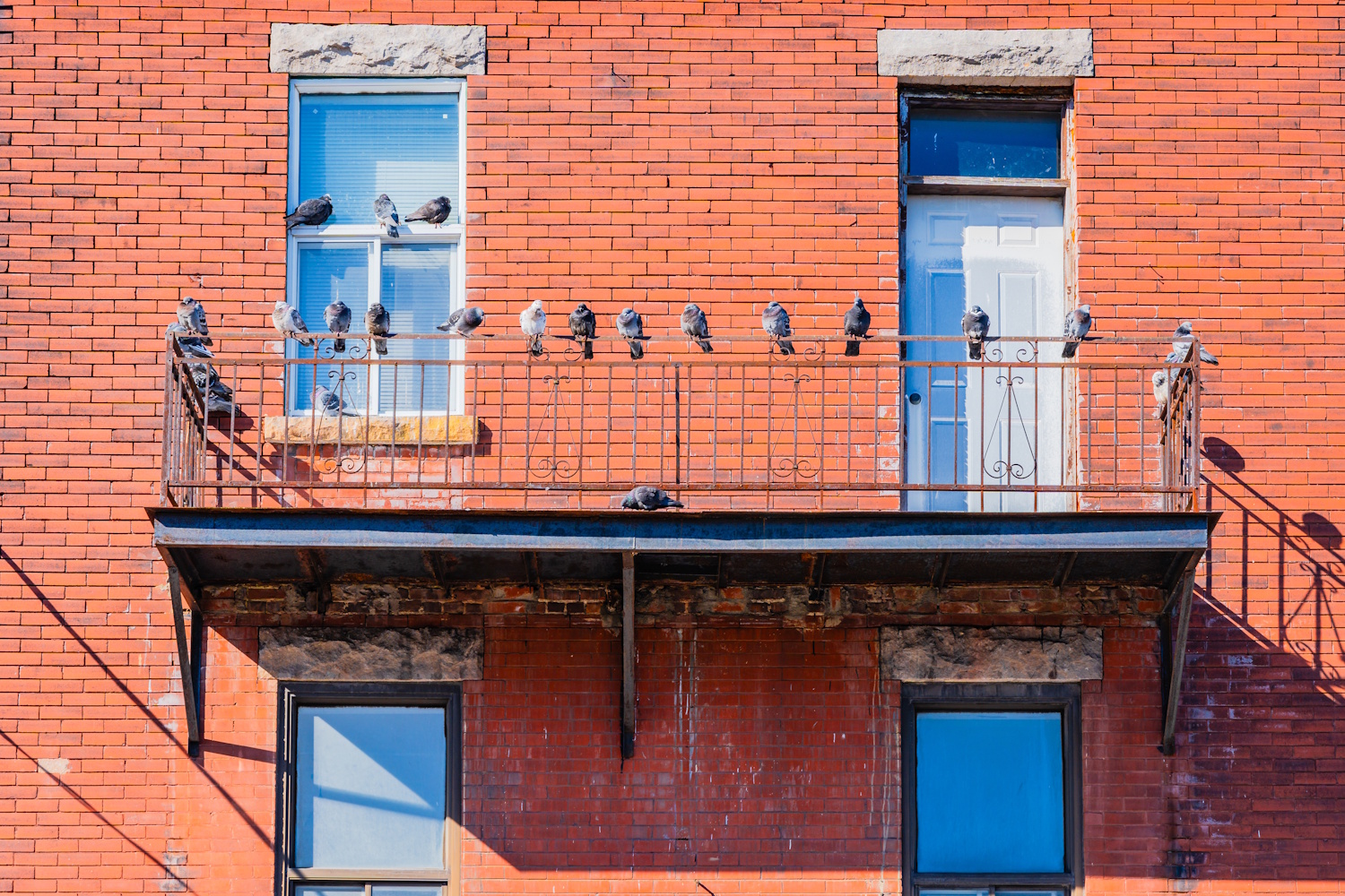 Galambok az erkélyen