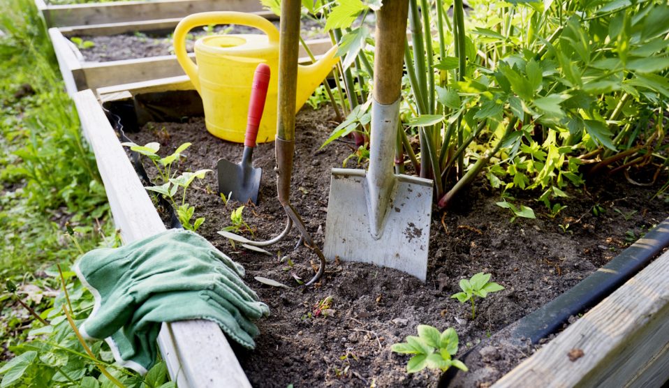 Magyaságyások egymás mellett