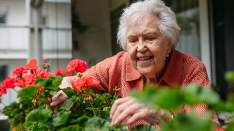 nagymama muskátlit ápol az erkélyen